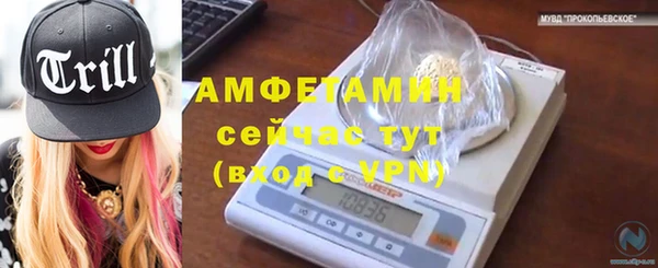 шишки Магадан