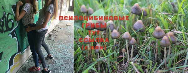 шишки Магадан